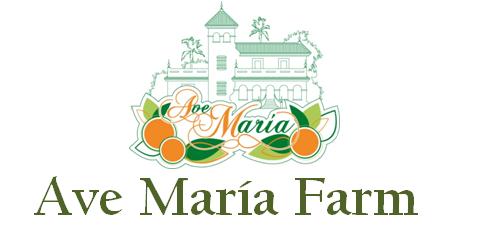HUERTA AVE MARÍA