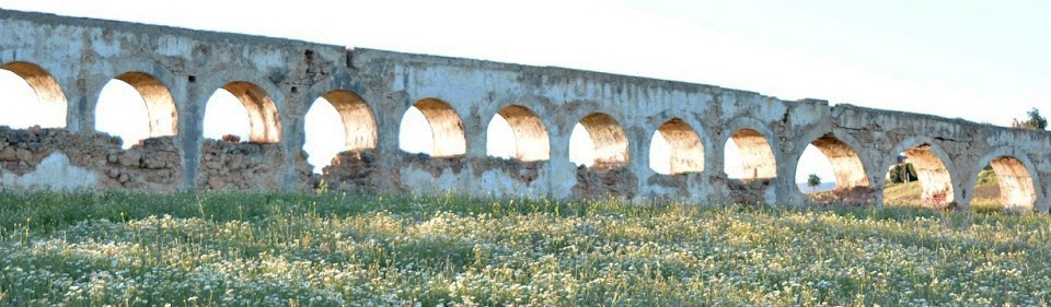 Molino Harineros del campo