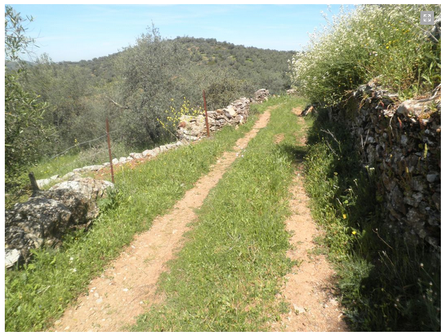 Vista del inicio del sendero