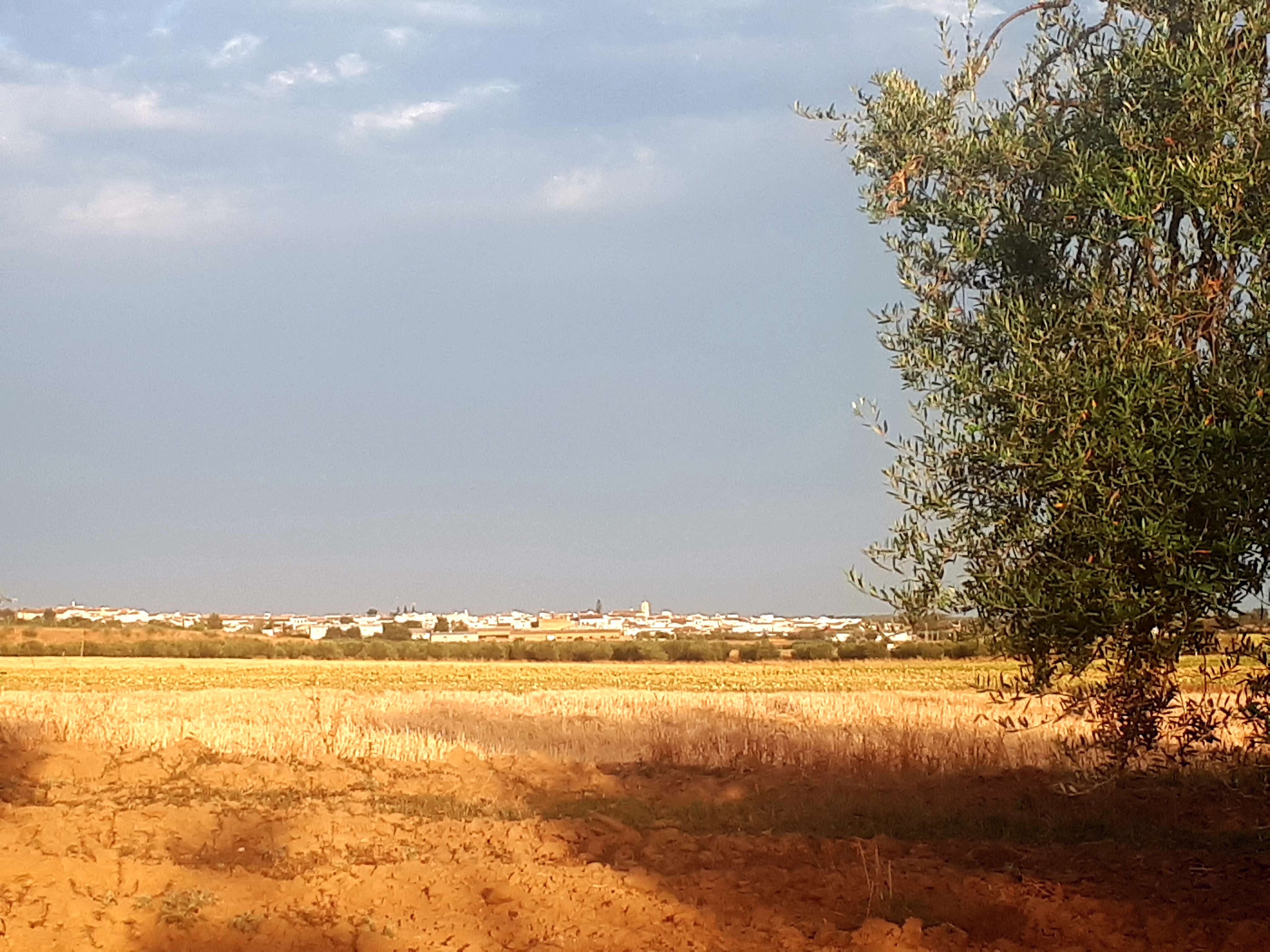 Vista paisajística de Carrión de los Céspedes