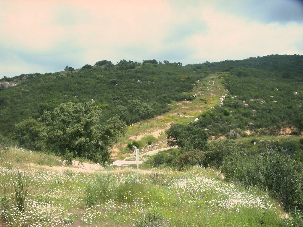 Vistas desde la Ruta de Sierra Clara