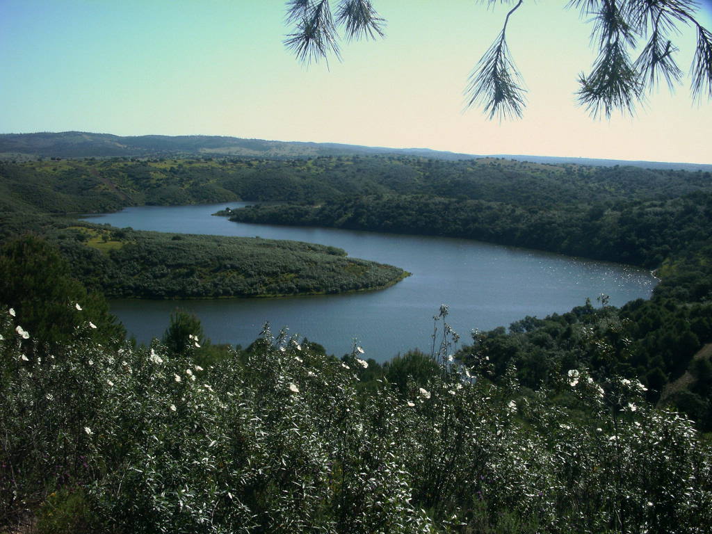 Vistas desde el sendero Los Brezales