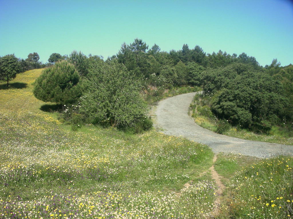 Camino de Los Brezales