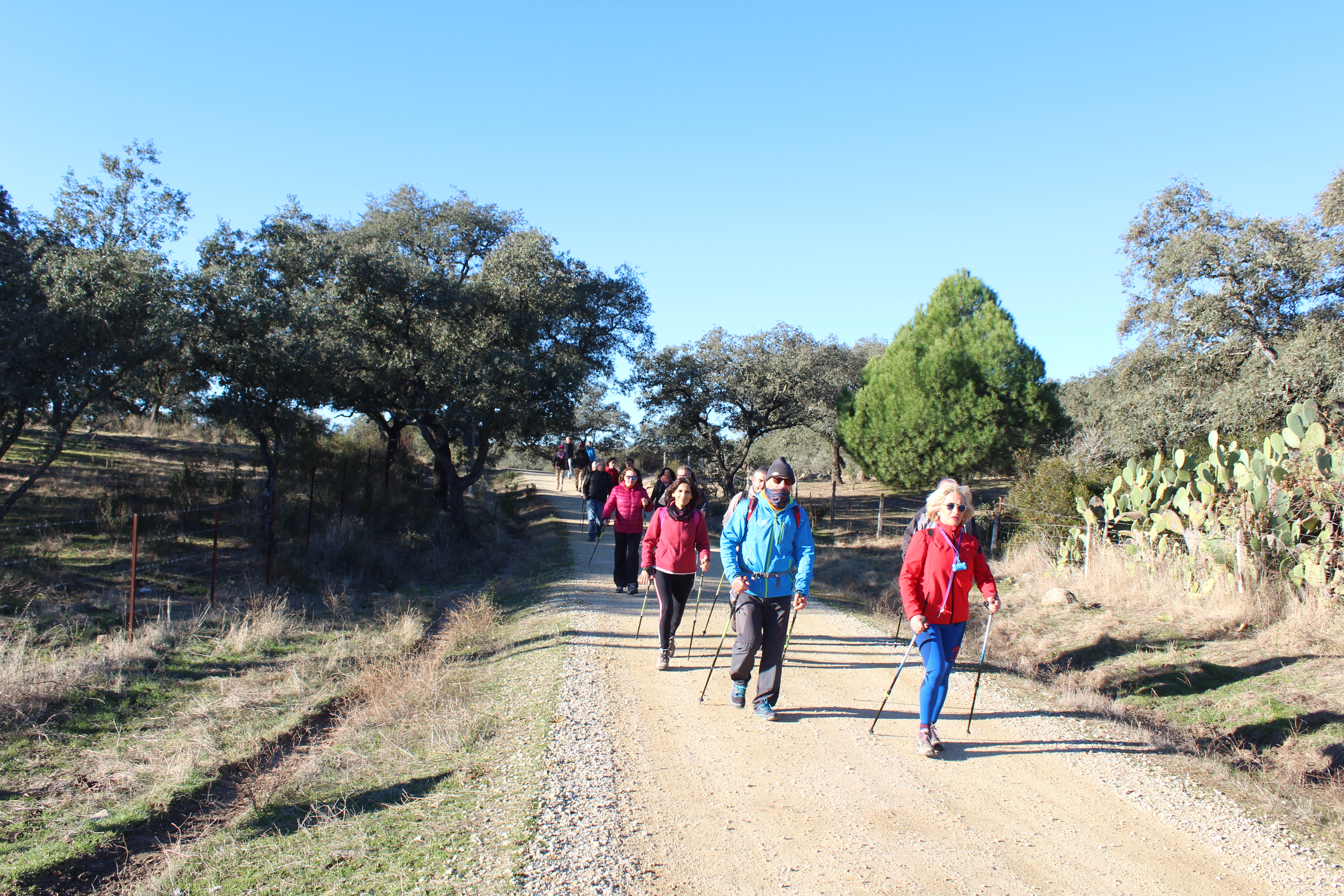 Camino de Los Cachones