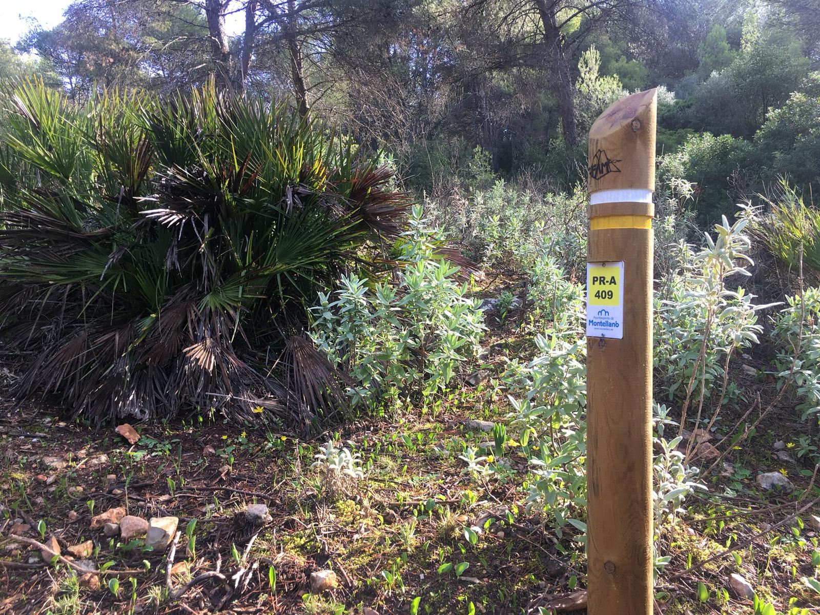 Sendero Sierra de San Pablo