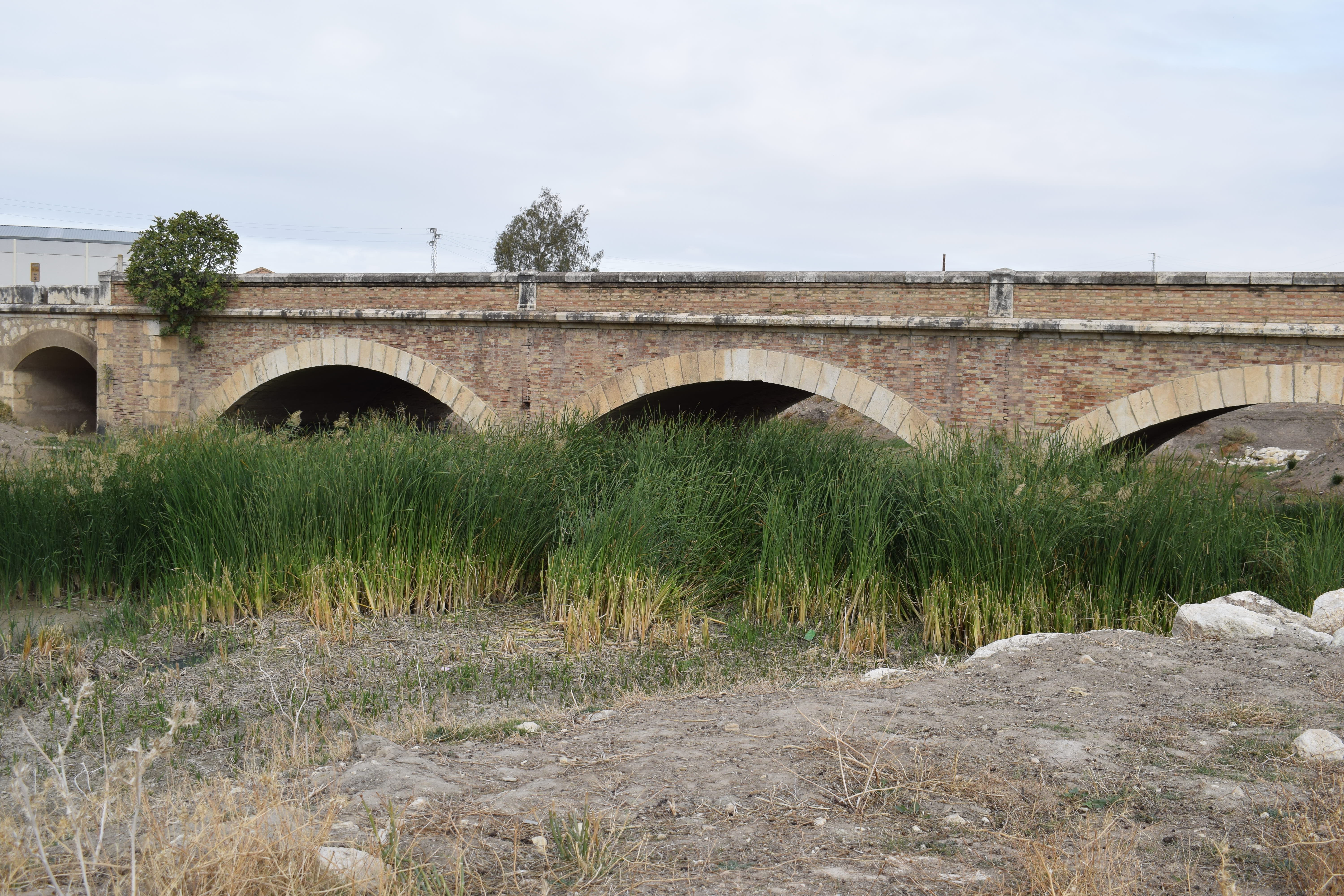 Limpieza Río Corbones