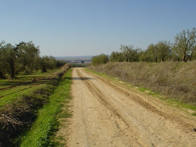 Camino rural
