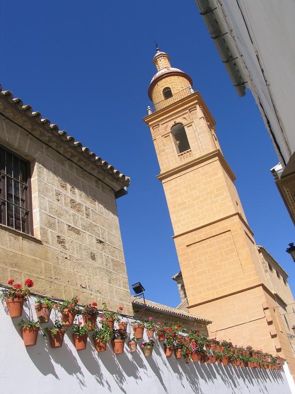 iglesia san Carlos