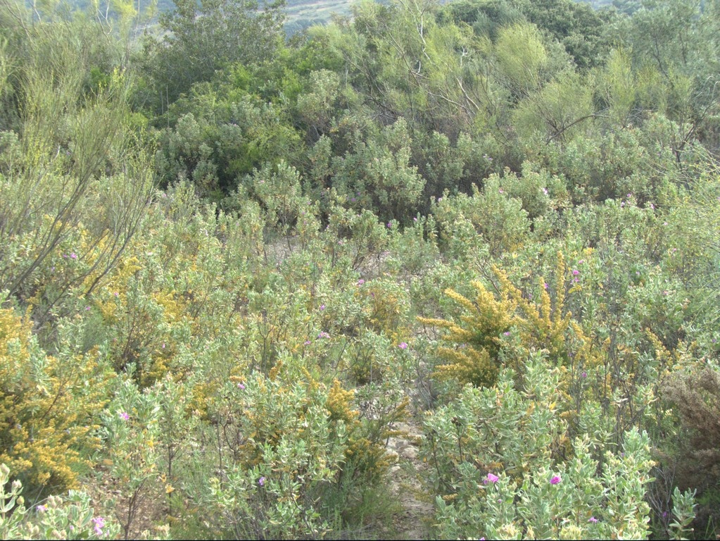 sendero sierra perez