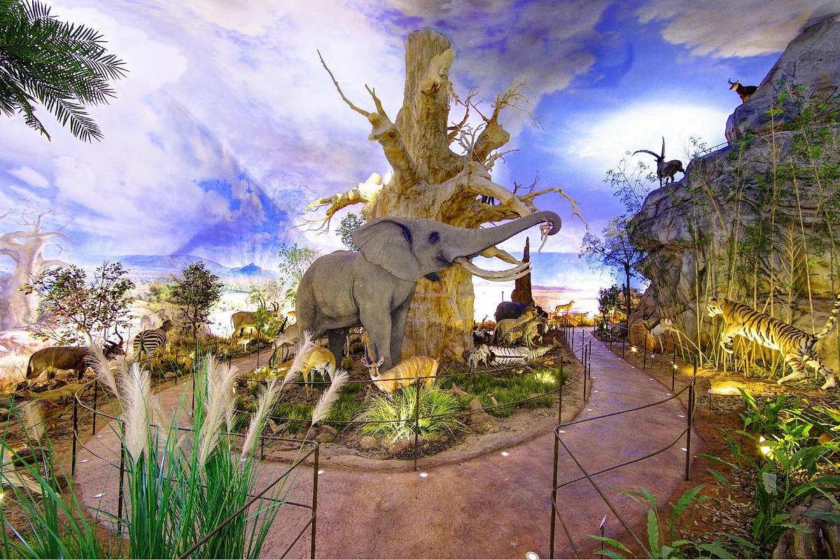 Centro Natural Fauna Salvaje